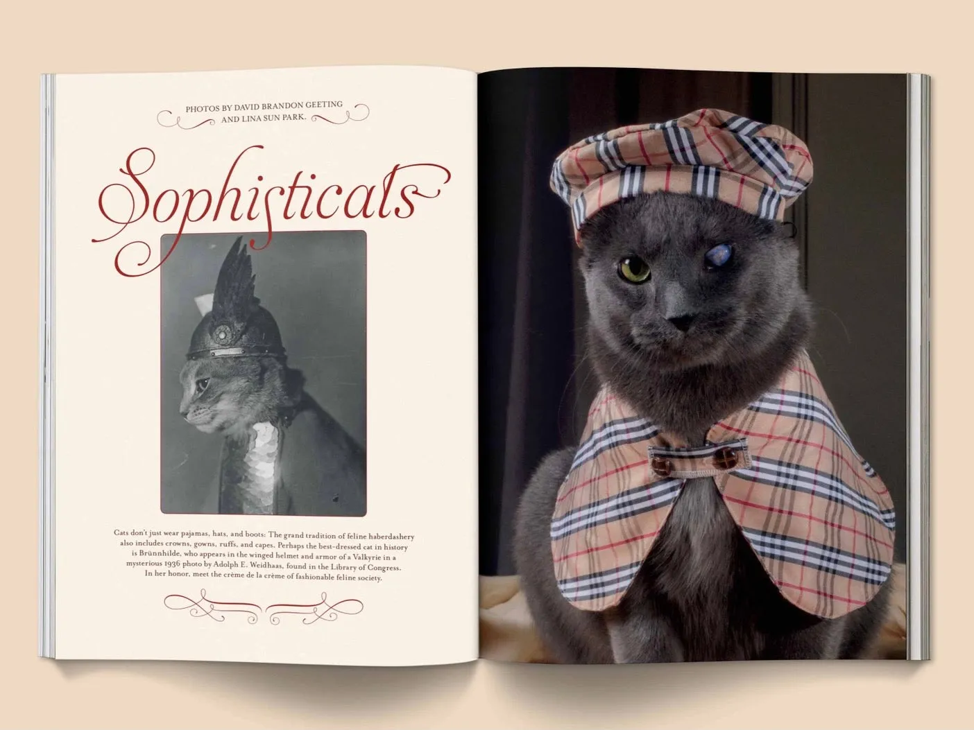 CATNIP: A MAGAZINE FOR CAT PEOPLE