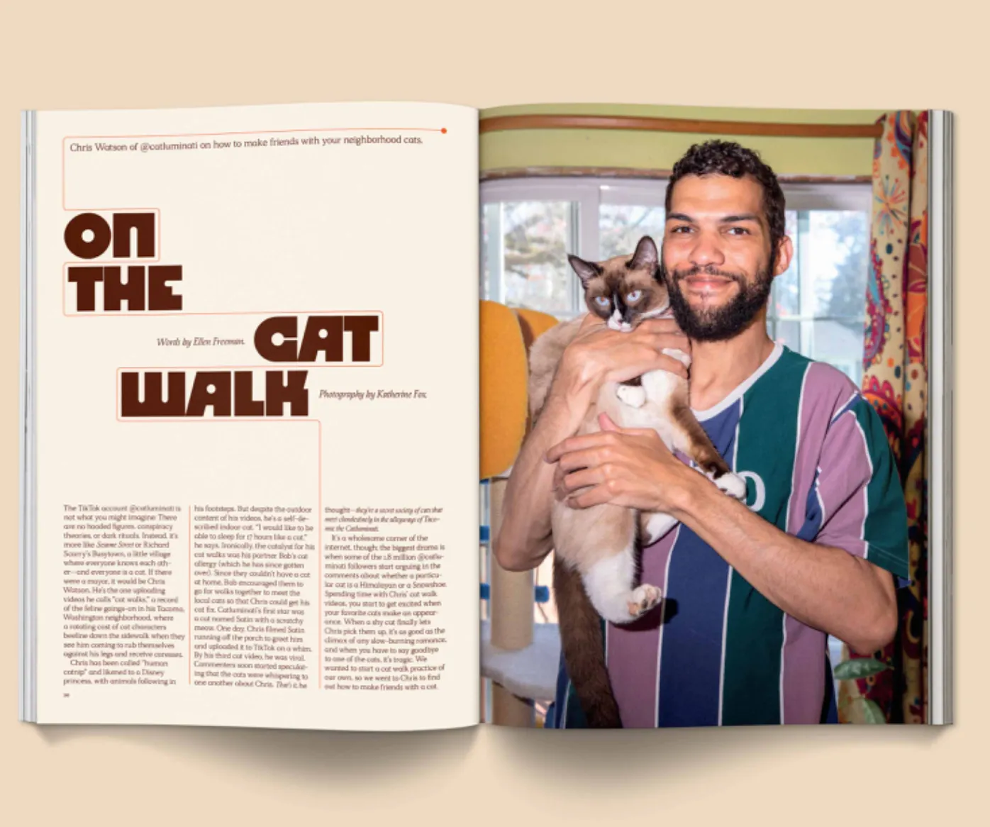 Catnip Magazine