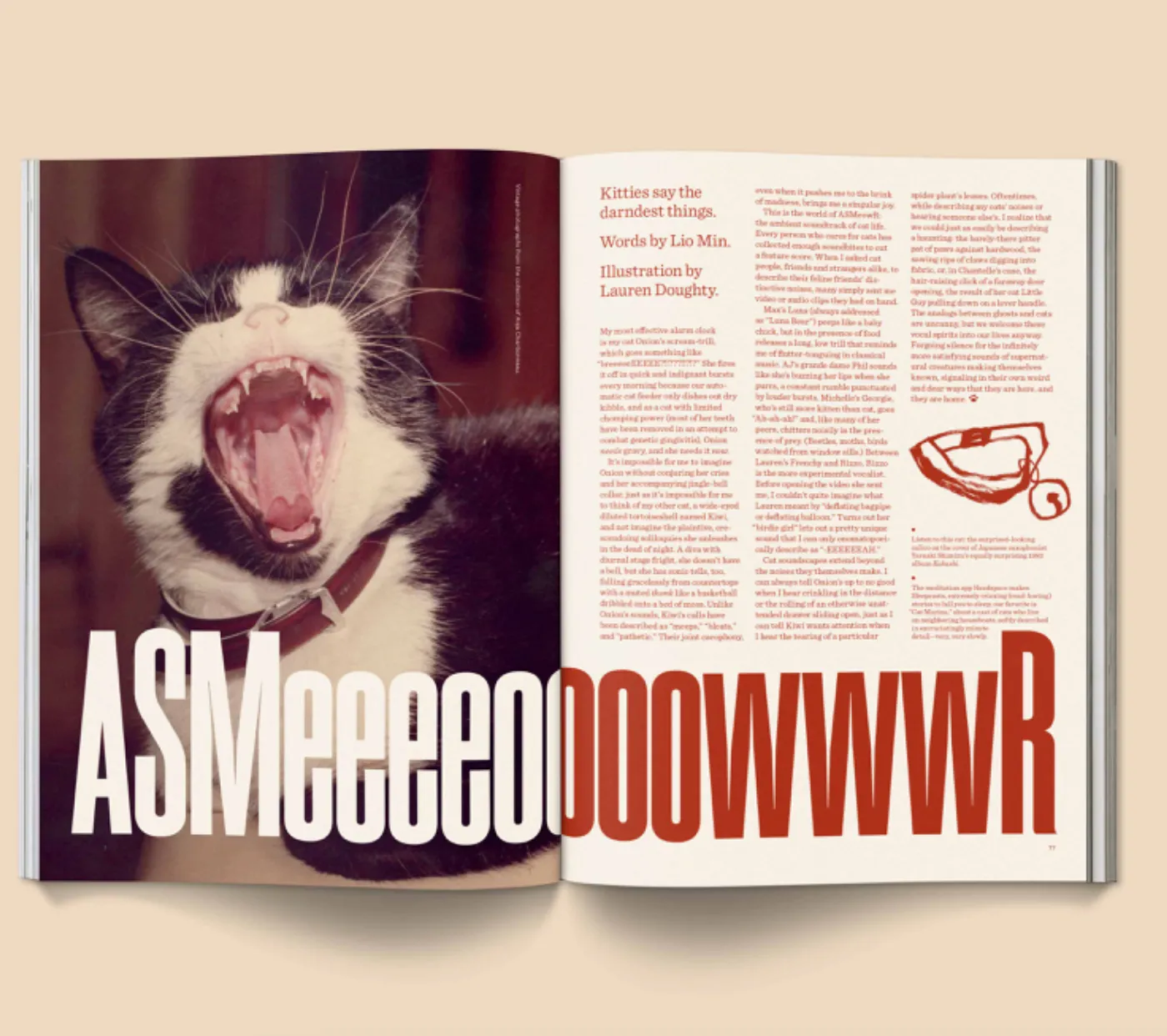 Catnip Magazine