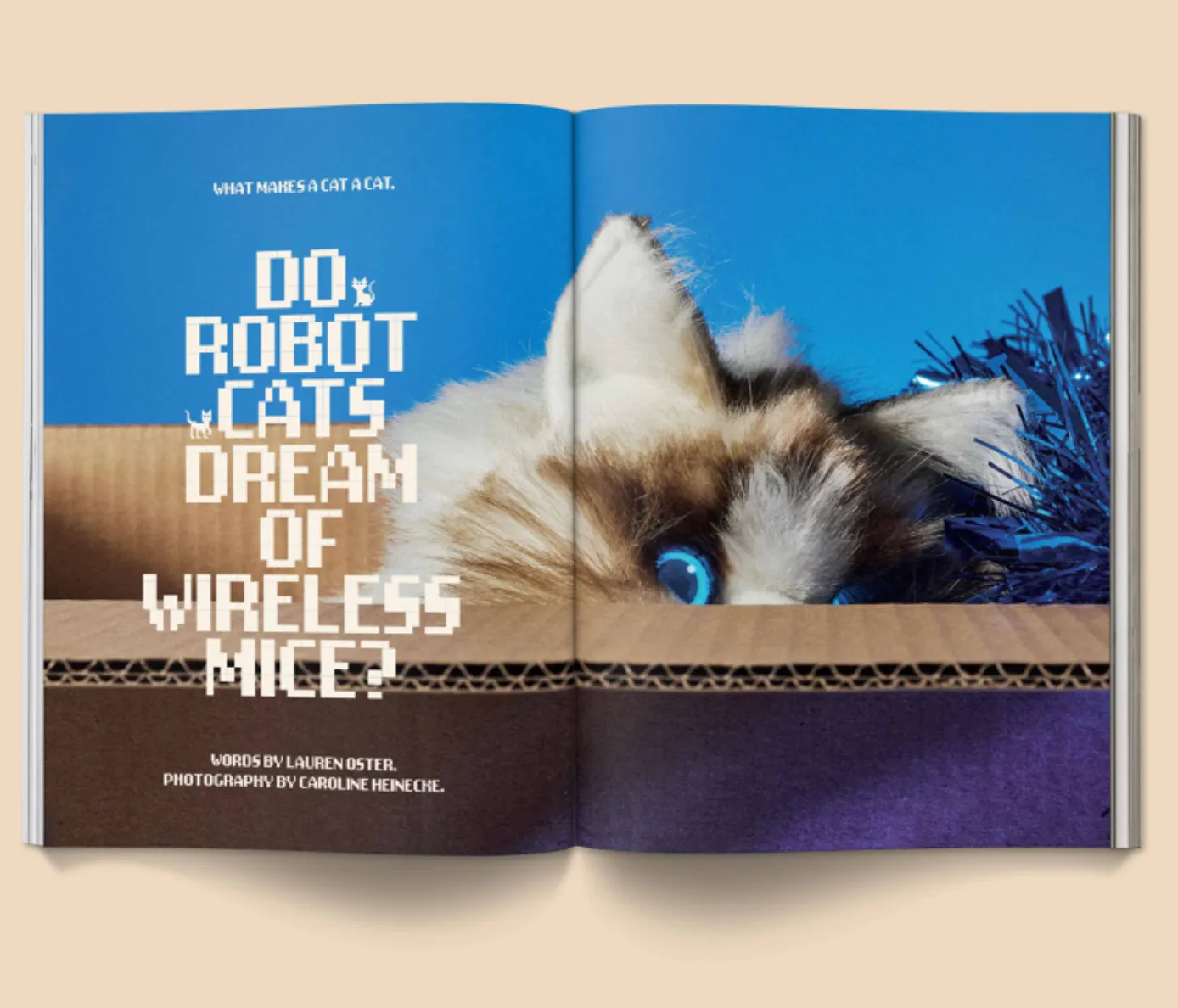 Catnip Magazine
