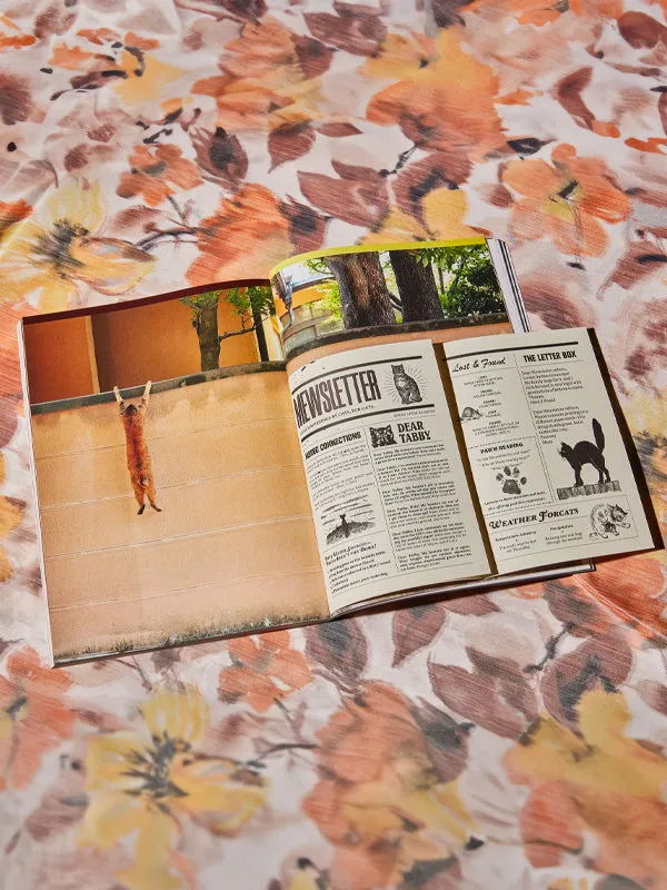 Catnip Magazine