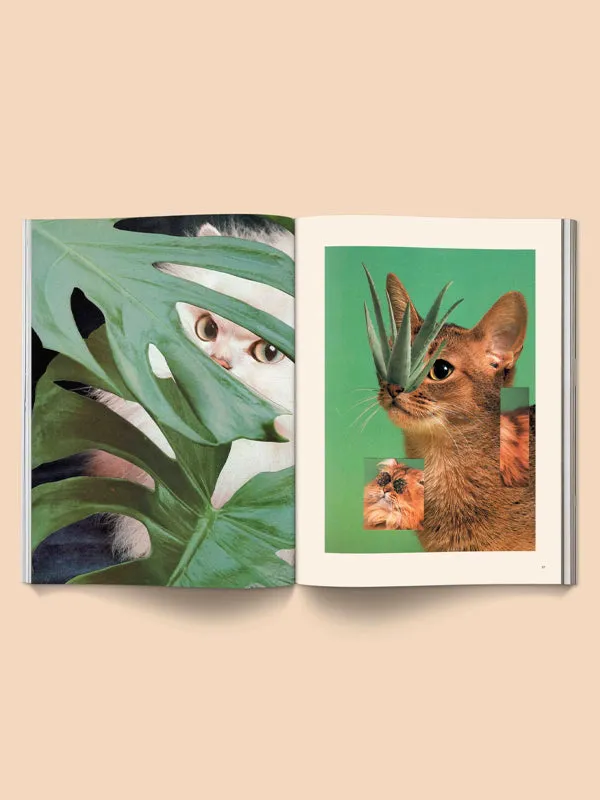 Catnip Magazine