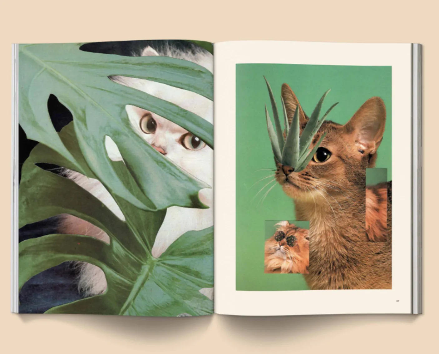 Catnip Magazine