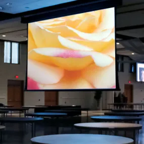 Draper Paragon V [16:10] Electric Retractable Projection Screen 234" (124" x 198") 114616CB