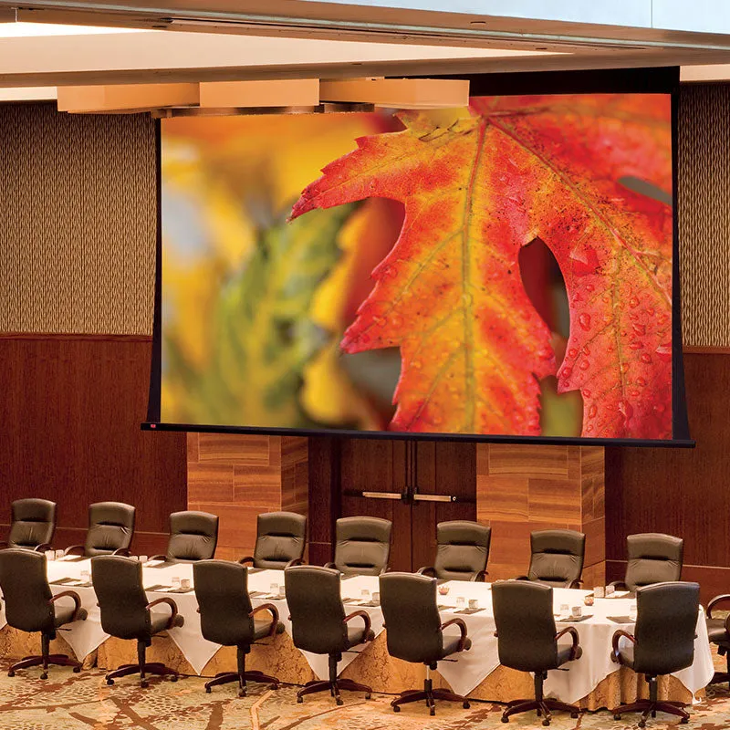 Draper Paragon V [16:10] Electric Retractable Projection Screen 234" (124" x 198") 114616CB