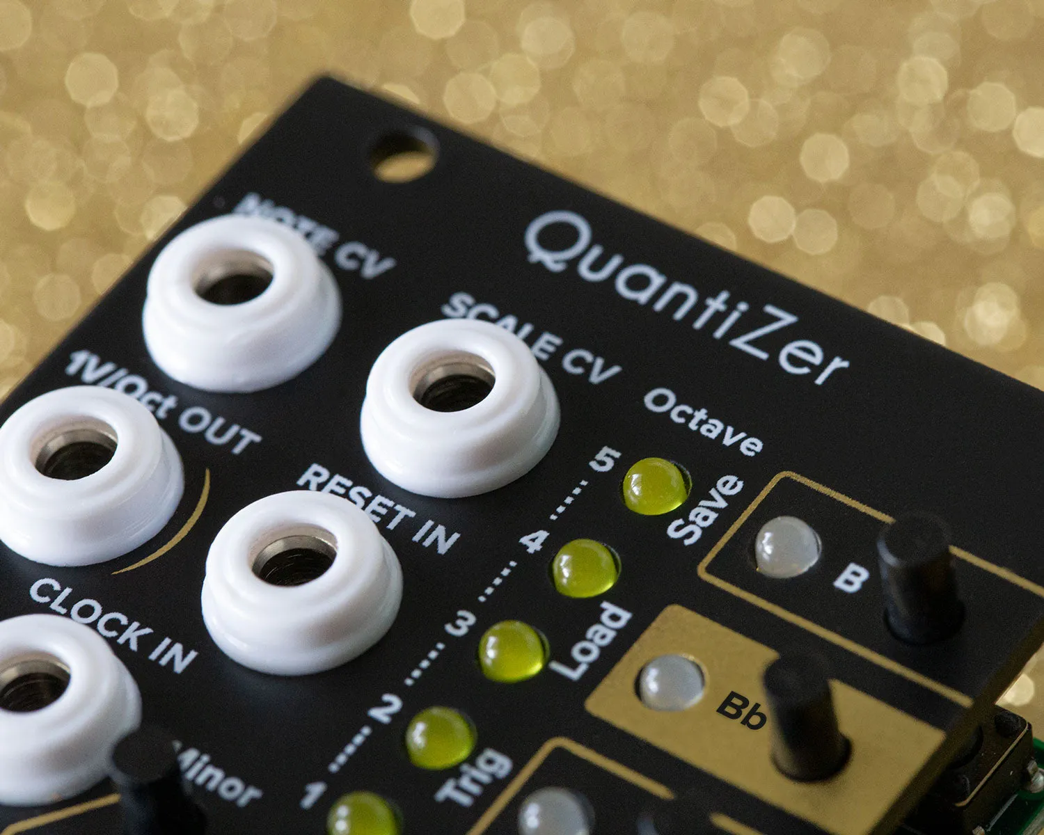 Limited Edition Tiptop Audio QuantiZer Black