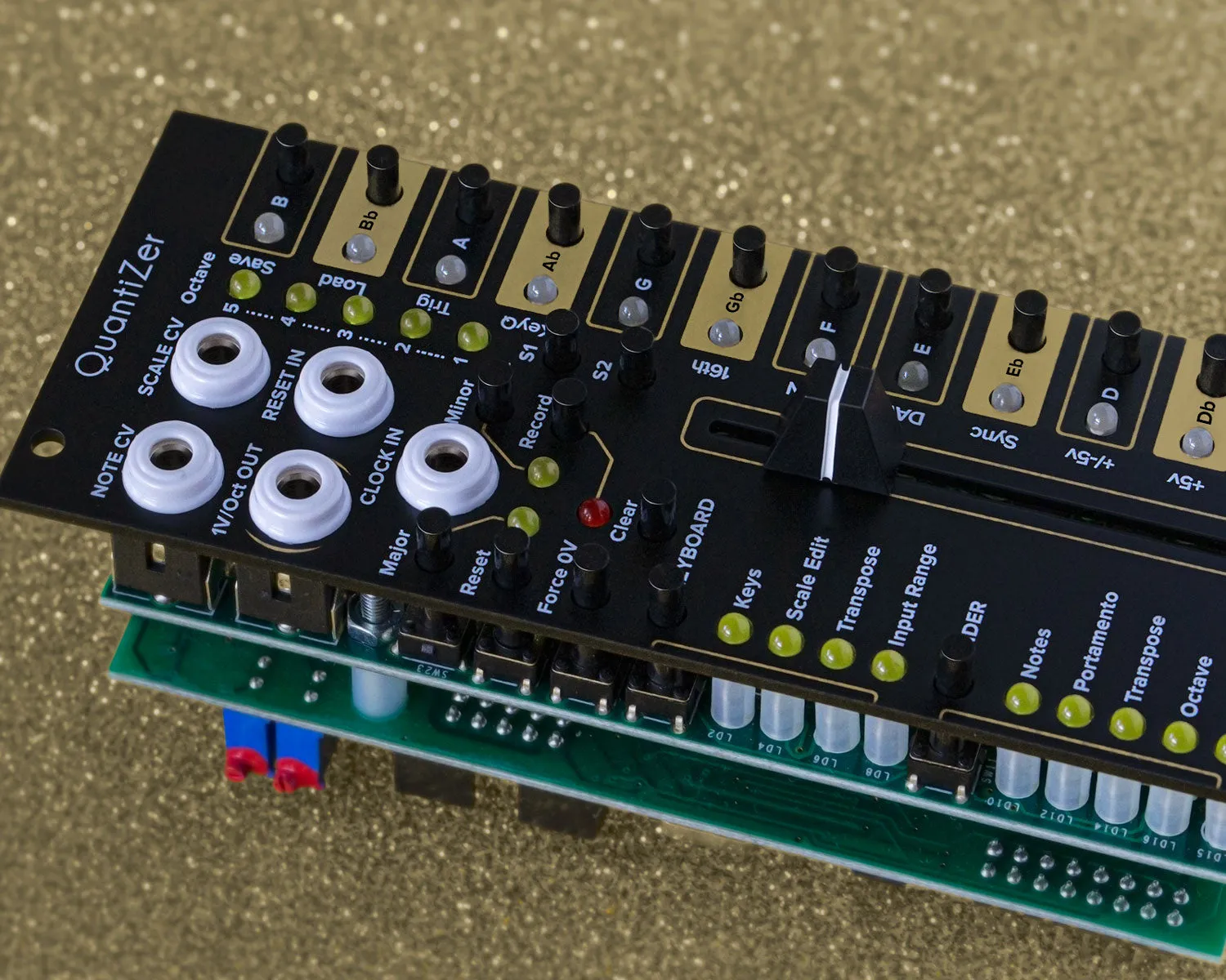 Limited Edition Tiptop Audio QuantiZer Black
