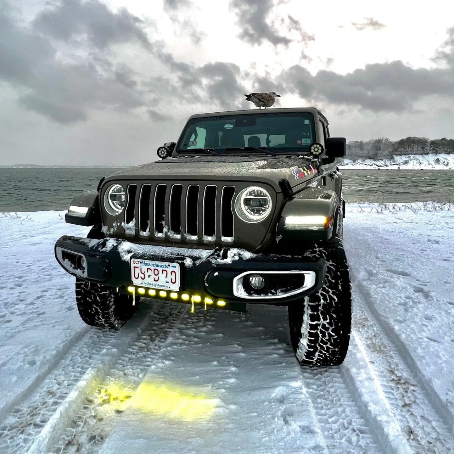 ORACLE Lighting Skid Plate with Integrated LED Emitters for Jeep Wrangler JL and Gladiator JT