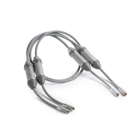 Shunyata Research Omega RCA interconnect (pair)